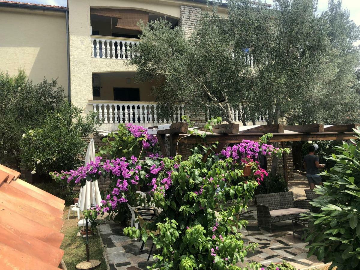 Guesthouse Vila Ruzmarin Ždrelac 外观 照片